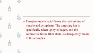 – Phosphotungstic acid favors the red staining of
muscle and cytoplasm. The tungstate ion is
specifically taken up by collagen, and the
connective tissue fiber stain is subsequently bound
to this complex.
 