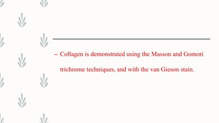 – Collagen is demonstrated using the Masson and Gomori
trichrome techniques, and with the van Gieson stain.
 