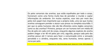 Os	pelos	sensoriais	das	aranhas,	que	estão	espalhados	por	todo	o	corpo,	
funcionam	 como	 uma	 forma	 muito	 boa	 de	 perceber	 o	 mundo	 e	 captar	
informações	 do	 ambiente.	 Em	 muitas	 espécies,	 esse	 tato	 por	 meio	 dos	
pelos	tem	papel	mais	importante	que	a	própria	visão,	uma	vez	que	muitas	
aranhas	conseguem	prender	e	atacar	suas	presas	na	completa	escuridão.	E	
por	que	os	pelos	humanos	não	são	tão	eficientes	como	órgãos	sensoriais	
como	os	das	aranhas?	Primeiro,	porque	um	ser	humano	tem	em	média	60	
fios	de	pelo	em	cada	cm2	do	corpo,	enquanto	algumas	espécies	de	aranha	
podem	chegar	a	ter	40	mil	pelos	por	cm2;	segundo,	porque	cada	pelo	das	
aranhas	 possui	 até	 3	 nervos	 para	 fazer	 a	 comunicação	 entre	 a	 sensação	
percebida	 e	 o	 cérebro,	 enquanto	 nós,	 seres	 humanos,	 temos	 apenas	 1	
nervo	por	pelo.		
Disponível	em:	http://cienciahoje.org.br.	Acesso	em:	11	dez.	2018	(adaptado).		
 