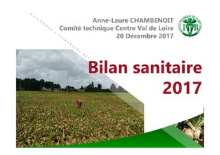 Bilan sanitaire
2017
Anne-Laure CHAMBENOIT
Comité technique Centre Val de Loire
20 Décembre 2017
 