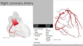 Ct   coronary  angiography edited 1st
