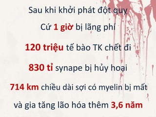 Sau khi khởi phát đột quỵ
Cứ 1 giờ bị lãng phí
120 triệu tế bào TK chết đi
830 tỉ synape bị hủy hoại
714 km chiều dài sợi có myelin bị mất
và gia tăng lão hóa thêm 3,6 năm
 