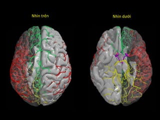 Nhìn trên Nhìn dưới
 