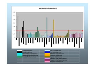 Nitrogênio Total ( mg.l-1) 
4,55 
3,9 
3,25 
2,6 
1,95 
1,3 
0,65 
0 
Guarapiranga seca Tietê Cabeceiras seca 
Guarapiranga chuva Tietê Cabeceiras chuva 
Pesqueiros Guarapiranga seca Tributários Taiaçupeba chuva 
Pesqueiros Guarapiranga chuva Tributários Jundiaí chuva 
Impactos Parelheiros chuva Impactos Balainho chvua 
Pesqueiros Tietê Cabeceiras seca 
Pesqueiros Tietê Cabeceiras chuva 
Pesqueiros Balainho chuva 
 