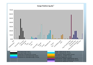Carga Fósforo kg.dia-1 
70,00 
60,00 
50,00 
40,00 
30,00 
20,00 
10,00 
0,00 
Itaim 
Parelheiros(Jaceguava) 
Itaim 
Mata preservada 
Agricultura 2 
EE Biritiba 
Pesq. 8 Lagoas 
Ponte Nova jusante 
Balainho 
Rib. Vargem Grande 
Cogumelo 
Eucalipto 
Agricultura 
Pesq. Bettini 
Piscicultura Peter 
Pesq. Onze 
Pesq. Sombra e Agua Fresca 
Guarapiranga seca Tietê Cabeceiras seca 
Guarapiranga chuva Tietê Cabeceiras chuva 
Impactos Parelheiros chuva Tributários Taiaçupeba chuva 
Pesqueiros Guarapiranga seca Tributários Jundiaí chuva 
Pesqueiros Guarapiranga chuva Impactos Balainho chvua 
Pesqueiros Tietê Cabeceiras seca 
Pesqueiros Tietê Cabeceiras chuva 
Pesqueiros Balainho chuva 
 