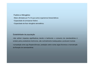 Fosforo e Nitrogênio: 
•Maior afinidade por P e N que outros organismos fotossintéticos 
•Capacidade de armazenar fósforo 
•Capacidade de fixar nitrogênio atmosférico 
Estabiblidade da população 
•não sofrem impactos significativos devido à herbivoria: o consumo de cianobactérias é 
evitado pelos predadores herbívoros, são nutricialmente inadequadas e produzem toxinas 
•competição entre spp fitoplanctônicas: predação sobre outras algas favorece a manutenção 
da floração de cianobactérias 
 