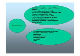 Neurotoxinas 
pppprrrroooodddduuuuzzzziiiiddddaaaassss ppppoooorrrr eeeessssppppéécccciiiieeeessss eeee cccceeeeppppaaaassss iiiinnnncccclllluuuuíddddaaaassss nnnnoooossss 
gênnnneeeerrrroooossss :::: 
Anabaena (CCCCaaaarrrrmmmmiiiicccchhhhaaaaeeeellll eeeetttt aaaallll....,,,, 1111999999990000)))),,,, 
Aphanizomenon (MMMMaaaahhhhaaaammmmoooooooodddd  CCCCaaaarrrrmmmmiiiicccchhhhaaaaeeeellll,,,, 1111999988886666)))),,,, 
Oscillatoria (SSSSiiiivvvvoooonnnneeeennnn eeeetttt aaaallll....,,,, 1111999988889999)))),,,, 
Trichodesmium (HHHHaaaawwwwsssseeeerrrr eeeetttt aaaallll....,,,, 1111999999991111)))) eeee 
Cylindrospermopsis ((((LLLLaaaaggggoooossss eeeetttt aaaallll....,,,, iiiinnnn pppprrrreeeessssssss)))).... 
Já sãoooo ccccoooonnnnhhhheeeecccciiiiddddaaaassss ppppeeeelllloooo mmmmeeeennnnoooossss cccciiiinnnnccccoooo 
nnnneeeeuuuurrrroooottttooooxxxxiiiinnnnaaaassss pppprrrroooodddduuuuzzzziiiiddddaaaassss aaaa ppppaaaarrrrttttiiiirrrr ddddeeee eeeessssppppéécccciiiieeeessss 
ddddeeeesssssssseeeessss ggggênnnneeeerrrroooossss. 
OOOOssss ssssiiiinnnnaaaaiiiissss ddddeeee eeeennnnvvvveeeennnneeeennnnaaaammmmeeeennnnttttoooo eeeemmmm aaaannnniiiimmmmaaaaiiiissss 
sssseeeellllvvvvaaaaggggeeeennnnssss eeee ddddoooommmméssssttttiiiiccccoooossss,,,, iiiinnnncccclllluuuueeeemmmm:::: 
ddddeeeesssseeeeqqqquuuuiiiillllíbbbbrrrriiiioooo 
ffffaaaasssscccciiiiccccuuuullllaaaaççççãããão mmmmuuuussssccccuuuullllaaaarrrr 
rrrreeeessssppppiiiirrrraaaaççççããããoooo ooooffffeeeeggggaaaannnntttteeee 
ccccoooonnnnvvvvuuuullllssssõeeeessss 
mmmmoooorrrrtttteeee 
 