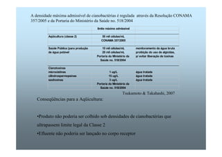 A densidade máxima admissível de cianobactérias é regulada através da Resolução CONAMA 
357/2005 e da Portaria do Ministério da Saúde no. 518/2004 
limite máximo admissível 
Aqüicultura (classe 2) 50 mil células/mL 
CONAMA 357/2005 
Saúde Pública (para produção 10 mil células/mL monitoramento da água bruta 
de água potável 20 mil células/mL proibição do uso de algicidas, 
Portaria do Ministério da p/ evitar liberação de toxinas 
Saúde no. 518/2004 
Cianotoxinas 
microcistinas 1 ug/L água tratada 
cilindrospermopsinas 15 ug/L água tratada 
saxitoxinas 3 ug/L água tratada 
Portaria do Ministério da 
Saúde no. 518/2004 
Conseqüências para a Aqüicultura: 
Tsukamoto  Takahashi, 2007 
•Produto não poderia ser colhido sob densidades de cianobactérias que 
ultrapassem limite legal da Classe 2 
•Efluente não poderia ser lançado no corpo receptor 
 