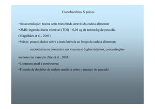 Cianobactérias X peixes 
•Bioacumulação: toxina seria transferida através da cadeia alimentar 
•OMS: ingestão diária tolerável (TDI) – 0,04 ug de toxina/kg de peso/dia 
(Magalhães et al., 2001) 
•Peixes: poucos dados sobre a transferência ao longo da cadeia alimentar; 
microcistina se concentra nas vísceras e órgãos internos, concentrações 
menores no músculo (Xie et al., 2005) 
•Literatura atual é controversa 
•Tomada de decisões de ordem sanitária sobre o manejo do pescado 
 
