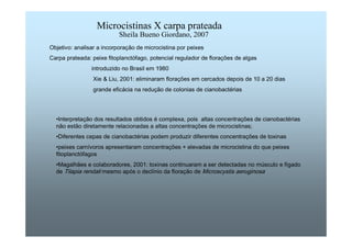 Microcistinas X carpa prateada 
Sheila Bueno Giordano, 2007 
Objetivo: analisar a incorporação de microcistina por peixes 
Carpa prateada: peixe fitoplanctófago, potencial regulador de florações de algas 
introduzido no Brasil em 1980 
Xie  Liu, 2001: eliminaram florações em cercados depois de 10 a 20 dias 
grande eficácia na redução de colonias de cianobactérias 
•Interpretação dos resultados obtidos é complexa, pois altas concentrações de cianobactérias 
não estão diretamente relacionadas a altas concentrações de microcistinas; 
•Diferentes cepas de cianobactérias podem produzir diferentes concentrações de toxinas 
•peixes carnívoros apresentaram concentrações + elevadas de microcistina do que peixes 
fitoplanctófagos 
•Magalhães e colaboradores, 2001: toxinas continuaram a ser detectadas no músculo e fígado 
de Tilapia rendali mesmo após o declínio da floração de Microscystis aeruginosa 
 