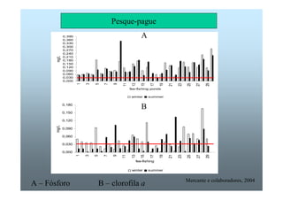 Pesque-pague 
0,390 
0,360 
0,330 
0,300 
0,270 
0,240 
0,210 
0,180 
0,150 
0,120 
0,090 
0,060 
0,030 
0,000 
A 
1 
3 
5 
7 
9 
11 
13 
15 
17 
19 
21 
23 
25 
27 
29 
fee-fishing ponds 
mg/L 
winter summer 
0,180 
0,150 
0,120 
0,090 
0,060 
0,030 
0,000 
1 
3 
5 
7 
9 
11 
B 
13 
15 
17 
19 
21 
23 
25 
27 
29 
fee-fishing 
mg/L 
winter summer 
Mercante e A – Fósforo B – clorofila a colaboradores, 2004 
 