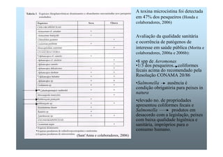 A toxina microcistina foi detectada 
em 47% dos pesqueiros (Honda e 
colaboradores, 2006) 
Avaliação da qualidade sanitária 
e ocorrência de patógenos de 
interesse em saúde pública (Morita e 
colaboradores, 2006a e 2006b): 
•8 spp de Aeromonas 
•1/3 dos pesqueiros coliformes 
fecais acima do recomendado pela 
Resolução CONAMA 20/86 
•Salmonella ausência é 
condição obrigatória para peixes in 
natura 
•elevado no. de propriedades 
apresentou coliformes fecais e 
Salmonella produtos em 
desacordo com a legislação, peixes 
com baixa qualidade higiênica e 
sanitária, impróprios para o 
consumo humano. 
(Sant’Anna e colaboradores, 2006) 
 