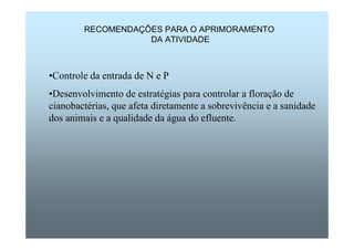 RECOMENDAÇÕES PARA O APRIMORAMENTO 
DA ATIVIDADE 
•Controle da entrada de N e P 
•Desenvolvimento de estratégias para controlar a floração de 
cianobactérias, que afeta diretamente a sobrevivência e a sanidade 
dos animais e a qualidade da água do efluente. 
 