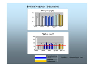 0,9 
0,6 
0,3 
0 
Paraíso 8 Lagoas Ueda Piscicultura 
Peter 
Onze 
Nitrogênio (mg.l-1) 
200 
150 
100 
50 
0 
Fósforo (ug.l-1) 
Paraíso 8 Lagoas Bettini Sta Clara Magic City 
Parelheiros 
Mogi 
Biritiba 
Balainho 
Sendacz e colaboradores, 2005 
Projeto Negowat : Pesqueiros 
 