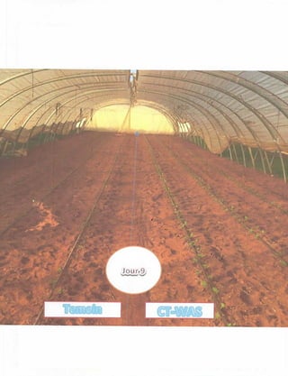 How to improve your crops