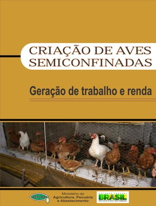 Geração de trabalho e renda
CRIAÇÃO DE AVES
SEMICONFINADAS
Ministério da
Agricultura, Pecuária
e Abastecimento
 