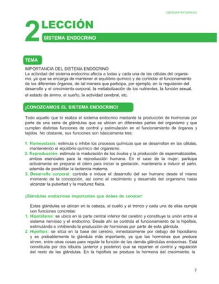 CIENCIAS NATURALES
7
LECCIÓN
SISTEMA ENDOCRINO
¡CONOZCAMOS EL SISTEMA ENDOCRINO!
Todo aquello que lo realiza el sistema endocrino mediante la producción de hormonas por
parte de una serie de glándulas que se ubican en diferentes partes del organismo y que
cumplen distintas funciones de control y estimulación en el funcionamiento de órganos y
tejidos. No obstante, sus funciones son básicamente tres:
1. Homeostasis: estimula o inhibe los procesos químicos que se desarrollan en las células,
manteniendo el equilibrio químico del organismo.
2. Reproducción: estimula la maduración de los óvulos y la producción de espermatozoides,
ambos esenciales para la reproducción humana. En el caso de la mujer, participa
activamente en preparar el útero para iniciar la gestación, mantenerla e inducir el parto,
además de posibilitar la lactancia materna.
3. Desarrollo corporal: controla e induce el desarrollo del ser humano desde el mismo
momento de la concepción, así como el crecimiento y desarrollo del organismo hasta
alcanzar la pubertad y la madurez física.
¡Glándulas endocrinas importantes que debes de conocer!
Estas glándulas se ubican en la cabeza, el cuello y el tronco y cada una de ellas cumple
con funciones concretas:
1. Hipotálamo: se ubica en la parte central inferior del cerebro y constituye la unión entre el
sistema nervioso y el endocrino. Desde ahí se controla el funcionamiento de la hipófisis,
estimulándo o inhibiendo la producción de hormonas por parte de esta glándula.
2. Hipófisis: se sitúa en la base del cerebro, inmediatamente por debajo del hipotálamo
y es probablemente la glándula más importante, ya que las hormonas que produce
sirven, entre otras cosas para regular la función de las demás glándulas endocrinas. Está
constituida por dos lóbulos (anterior y posterior) que se reparten el control y regulación
del resto de las glándulas. En la hipófisis se produce la hormona del crecimiento, la
TEMA
IMPORTANCIA DEL SISTEMA ENDOCRINO
La actividad del sistema endocrino afecta a todas y cada una de las células del organis-
mo, ya que se encarga de mantener el equilibrio químico y de controlar el funcionamiento
de los diferentes órganos, de tal manera que participa, por ejemplo, en la regulación del
desarrollo y el crecimiento corporal, la metabolización de los nutrientes, la función sexual,
el estado de ánimo, el sueño, la actividad cerebral, etc.
2
 