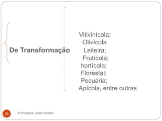 Vitivinícola;
Olivícola
De Transformação Leiteira;
Frutícola;
hortícola;
Florestal;
Pecuária;
Apícola, entre outras
Formadora: Lélia Ferreira39
 