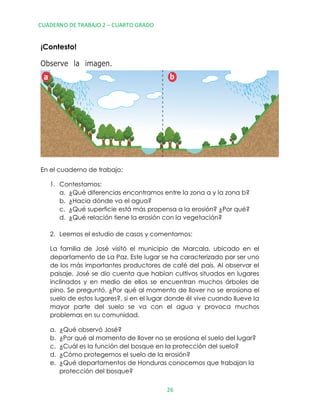 protección del bosque?
2. Leemos el estudio de casos y comentamos:
En el cuaderno de trabajo:
¡Contesto!
1. Contestamos:
a. ¿Qué diferencias encontramos entre la zona a y la zona b?
b. ¿Hacia dónde va el agua?
c. ¿Qué superficie está más propensa a la erosión? ¿Por qué?
d. ¿Qué relación tiene la erosión con la vegetación?
b
Observe la imagen.
a
CUADERNO DE TRABAJO 2 – CUARTO GRADO
26
La familia de José visitó el municipio de Marcala, ubicado en el
departamento de La Paz. Este lugar se ha caracterizado por ser uno
de los más importantes productores de café del país. Al observar el
paisaje, José se dio cuenta que habían cultivos situados en lugares
inclinados y en medio de ellos se encuentran muchos árboles de
pino. Se preguntó, ¿Por qué al momento de llover no se erosiona el
suelo de estos lugares?, si en el lugar donde él vive cuando llueve la
mayor parte del suelo se va con el agua y provoca muchos
problemas en su comunidad.
a. ¿Qué observó José?
b. ¿Por qué al momento de llover no se erosiona el suelo del lugar?
c. ¿Cuál es la función del bosque en la protección del suelo?
d. ¿Cómo protegemos el suelo de la erosión?
e. ¿Qué departamentos de Honduras conocemos que trabajan la
 