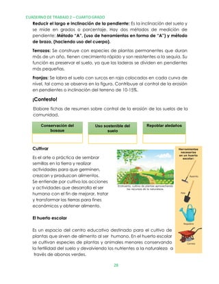 Ecohuerto, cultivo de plantas aprovechando
los recursos de la naturaleza.
Rastrillo
Herramientas
necesarias
en un huerto
escolar:
Pala
Regadera
Carreta
CUADERNO DE TRABAJO 2 – CUARTO GRADO
28
Cultivar
Es el arte o práctica de sembrar
Elabore fichas de resumen sobre control de la erosión de los suelos de la
comunidad.
¡Contesto!
Franjas: Se labra el suelo con surcos en raja colocados en cada curva de
nivel, tal como se observa en la figura. Contribuye al control de la erosión
en pendientes o inclinación del terreno de 10-15%.
Terrazas: Se construye con especies de plantas permanentes que duran
más de un año, tienen crecimiento rápido y son resistentes a la sequía. Su
función es preservar el suelo, ya que las laderas se dividen en pendientes
más pequeñas.
Reducir el largo e inclinación de la pendiente: Es la inclinación del suelo y
se mide en grados o porcentaje. Hay dos métodos de medición de
pendiente: Método “A”, (uso de herramientas en forma de “A”) y método
de brazo, (haciendo uso del cuerpo).
semillas en la tierra y realizar
actividades para que germinen,
crezcan y produzcan alimentos.
Se entiende por cultivo las acciones
y actividades que desarrolla el ser
humano con el fin de mejorar, tratar
y transformar las tierras para fines
económicos y obtener alimento.
El huerto escolar
Es un espacio del centro educativo destinado para el cultivo de
plantas que sirven de alimento al ser humano. En el huerto escolar
se cultivan especies de plantas y animales menores conservando
la fertilidad del suelo y devolviendo los nutrientes a la naturaleza a
través de abonos verdes.
 