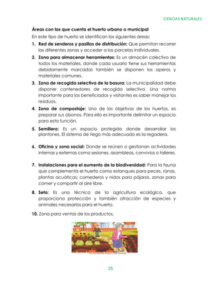 proporciona protección y también atracción de especies y
animales necesarios para el huerto.
8. Seto: Es una técnica de la agricultura ecológica, que
5. Semillero: Es un espacio protegido donde desarrollar los
preparar sus abonos. Para ello es importante delimitar un espacio
para esta función.
4. Zona de compostaje: Uno de los objetivos de los huertos, es
disponer contenedores de recogida selectiva. Una norma
importante para los beneficiados y visitantes es saber manejar los
residuos.
3. Zona de recogida selectiva de la basura: La municipalidad debe
todos los materiales, donde cada usuario tiene sus herramientas
debidamente marcadas también se disponen los aperos y
materiales comunes.
2. Zona para almacenar herramientas: Es un almacén colectivo de
1. Red de senderos y pasillos de distribución: Que permitan recorrer
las diferentes zonas y acceder a las parcelas individuales.
En este tipo de huerto se identifican las siguientes áreas:
Áreas con las que cuenta el huerto urbano o municipal
que complementa el huerto como estanques para peces, ranas,
plantas acuáticas; comederos y nidos para pájaros, zonas para
comer y compartir al aire libre.
plantones. El sistema de riego más adecuado es la regadera.
6. Oficina y zona social: Donde se reúnen o gestionan actividades
internas y externas como sesiones, asambleas, convivios o talleres.
7. Instalaciones para el aumento de la biodiversidad: Para la fauna
Personas generando espacios verdes sostenibles.
10. Zona para ventas de los productos.
CIENCIAS NATURALES
35
 