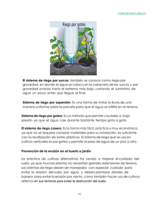 Prevención de la erosión en el huerto o jardín
El sistema de riego por surcos: también se conoce como riego por
gravedad, en donde el agua se coloca en la cabecera de los surcos y por
gravedad avanza hasta el extremo más bajo, cortando el suministro de
agua un poco antes que llegue al final.
Sistema de riego por aspersión: Es una forma de imitar la lluvia de una
manera uniforme sobre la parcela para que el agua se infiltre en el terreno.
Sistema de riego por goteo: Es un método que permite caudales a baja
presión ya que el agua cae durante bastante tiempo gota a gota.
El sistema de riego casero: Es la forma más fácil, práctica y muy económica,
ya que no se requiere comprar materiales para su instalación, es suficiente
con la reutilización de botes plásticos. El sistema de riego que se usa en
cultivos verticales es por goteo y permite el paso de agua de un piso a otro.
CIENCIAS NATURALES
41
Riego por goteo
La práctica de cultivos alternativos ha venido a mejorar el cuidado del
suelo, ya que muchas plantas no necesitan grandes extensiones de terreno.
Los sistemas de riego deben ser manejados con especial cuidado para
evitar la erosión del suelo por agua, y deben plantarse árboles de
barrera para evitar la erosión por viento, como también hacer uso de cultivos
alternos en sus terrenos para evitar la destrucción del suelo.
 