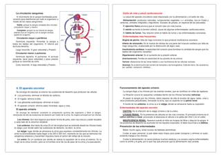 La circulación sanguínea
movimiento de la sangre bombeada porel
corazón para distribuirse por todo el organismo a
través de los vasos sanguíneos.
Doble: porque la sangre completa dos circuitos
(circulación mayor y menor)
Completa: porque no se mezcla la sangre
arterial (rica en oxígeno) con la sangre venosa
(pobre en oxígeno).
Circulación mayor o periférica.
Ventrículo izquierdo mandar la sangre a
todos los tejidos del organismo retorno por
Aurícula derecha
Largo recorrido gran velocidad y Presión
Circulación menor o pulmonar.
Ventrículo derecho pulmones aurícula
izquierda; tiene poca velocidad y poca presión
porque su recorrido es corto.
Corto recorrido baja velocidad y Presión
Estilo de vida y salud cardiovascular
La salud del aparato circulatorio está relacionada con la alimentación y el estilo de vida.
Alimentación: productos naturales, componentes vegetales >>> animales; rica en frutas y
verduras, cereales integrales y legumbres. Escasez de grasas, en especial de las saturadas.
El ejercicio físico provoca que el corazón lata con más fuerza..
El estrés aumenta la tensión arterial, causa de algunas enfermedades cardiovasculares..
El hábito de fumar. Hay relación entre el hábito de fumar y las enfermedades coronarias.
Enfermedades más frecuentes
Angina de pecho: falta de riego coronario lo que produce insuficiencia coronaria.
Infarto de miocardio. Es la muerte de células de una parte del músculo cardiaco por falta de
riego sanguíneo, ocasionada por la obstrucción de algún vaso..
Insuficiencia cardíaca: incapacidad del corazón para bombear la cantidad de sangre que los
tejidos del organismo necesitan.
Hipertensión arterial. Es el aumento de la presión arterial.
Arteriosclerosis. Perdida de elasticidad de las paredes de las arterias
Varices: dilataciones de las venas debido a una insuficiencia de las válvulas venosas.
Anemias. Es la disminución del número de hematíes o de hemoglobina. Falta de hierro. Se caracteriza
por: palidez, cansancio, cefaleas,...
4. El aparato excretor
Se encarga de expulsar al exterior las sustancias de desecho que producen las células.
Los pulmones: eliminan el dióxido de carbono.
El hígado: elimina la bilis.
Las glándulas sudoríparas: eliminan el sudor.
El aparato urinario: elimina sales minerales, agua y urea..
El aparato urinario
Se encarga de mantener constante la composición química del organismo y filtrar la sangre,
eliminando de ella las sustancias de desecho por medio de la orina. Su órgano principal son los riñones
Los riñones: Son dos órganos que tienen forma de judía, color rojo oscuro y están situados
a cada lado de la columna vertebral.
Los uréteres: dos tubos de unos 25 cm de longitud que se extiende desde los riñones hasta
la vejiga y por donde salen las sustancias de desecho, es decir, la orina.
La vejiga: lugar donde se almacena la orina que expulsan constantemente los riñones. La
orina va acumulándose hasta llegar a los 200 ó 300 mm, momento en los que se estimulan los
receptores elásticos y transmiten impulsos hacia el centro del reflejo de la micción.
La uretra: Es un conducto por donde se realiza la expulsión de la orina al exterior. En la
mujer es la única función, pero en el hombre sirve de vía de paso de la orina y la eyaculación.
Funcionamiento del aparato urinario
La sangre llega a los riñones por las arterias renales, que se ramifican en miles de capilares.
La filtración ocurre en pequeñas unidades dentro de los riñones llamadas nefronas
Al pasar la sangre por los riñones, éstos separan de ella el exceso de agua, sales, urea y
otros productos perjudiciales, formando la orina, que va cayendo en la pelvis renal.
A través de los uréteres, la orina va a la vejiga, donde se almacena hasta su expulsión.
Enfermedades del aparato excretor
CISTITIS. Es la infección de la vejiga urinaria o de la uretra.
LITIASIS RENAL. Es la presencia de cálculos en las vías urinarias. El principal síntoma es el
cólico nefrítico o renal, provocado al atascarse el cálculo a la salida del riñón o en el uréter.
INSUFICIENCIA RENAL. Aparece cuando el riñón es incapaz de filtrar y depurar la sangre
los productos de desecho se acumulan en los líquidos corporales debe recurrirse a la diálisis.
Prevención de las enfermedades
Beber mucho agua, evitar exceso de bebidas alcohólicas.
Cuidar el aseo personal, la piel debe estar limpia para poder transpirar y eliminar el sudor,
evitando trabajo a los riñones.
Cuidar la alimentación: la carne produce muchos residuos y su exceso origina enfermedades
como la artritis y la gota, por lo que hay que procurar que la alimentación sea variada.
 