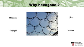 Thickness
Why hexagonal?
Strength
Size
Surface
 