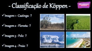 - Classificação de Köppen -
✓Imagem1 - Caatinga: ?
✓Imagem2 - Floresta: ?
✓Imagem3 - Polo: ?
✓Imagem4 - Praia: ?
 