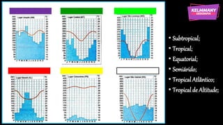 • Subtropical;
• Tropical;
• Equatorial;
• Semiárido;
• TropicalAtlântico;
• Tropicalde Altitude;
 