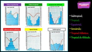 • Subtropical;
• Tropical;
• Equatorial;
• Semiárido;
• TropicalAtlântico;
• Tropicalde Altitude;
 