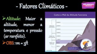 - Fatores Climáticos -
➢Altitude: Maior a
altitude, menor a
temperatura e pressão
(ar rarefeito).
➢OBS: 1m = 3ft
 