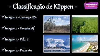- Classificação de Köppen -
✓Imagem1 - Caatinga: BSh
✓Imagem2 - Floresta: Af
✓Imagem3 - Polo: E
✓Imagem4 - Praia: Aw
 