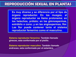 REPRODUCCIÓN SEXUAL EN PLANTAS
Es muy diversa y se diferencia por el tipo de
órgano reproductor. En los musgos, el
órgano reproductor se llama protonema; en
los helechos, prótalo; en las gimnospermas,
estróbilo o cono; y en las angiospermas, flor.
Las flor puede contener tanto el sistema
reproductor femenino como el masculino.
Sistema reproductor femenino: También llamado
gineceo, esta conformado por el pistilo.
Sistema reproductor masculino: También llamado
androceo, esta conformado por el estambre.
 