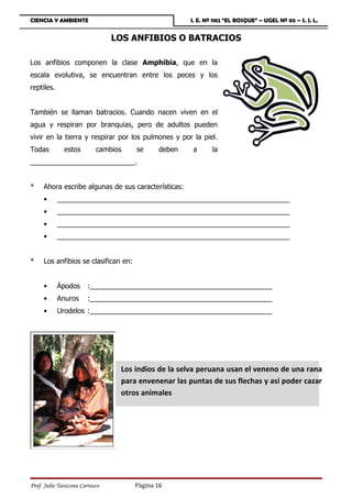 CIENCIA Y AMBIENTE                                    I. E. Nº 1182 “EL BOSQUE” – UGEL Nº 05 – S. J. L.


                                LOS ANFIBIOS O BATRACIOS

Los anfibios componen la clase Amphibia, que en la
escala evolutiva, se encuentran entre los peces y los
reptiles.


También se llaman batracios. Cuando nacen viven en el
agua y respiran por branquias, pero de adultos pueden
vivir en la tierra y respirar por los pulmones y por la piel.
Todas         estos        cambios    se      deben   a       la
___________________________.


*    Ahora escribe algunas de sus características:
     •      ____________________________________________________________
     •      ____________________________________________________________
     •      ____________________________________________________________
     •      ____________________________________________________________


*    Los anfibios se clasifican en:


     •      Ápodos      :_______________________________________________
     •      Anuros      :_______________________________________________
     •      Urodelos :_______________________________________________




                                 Los indios de la selva peruana usan el veneno de una rana
                                 para envenenar las puntas de sus flechas y así poder cazar
                                 otros animales




Prof. Julio Tarazona Carrasco         Página 16
 