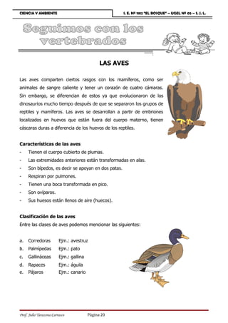 CIENCIA Y AMBIENTE                                   I. E. Nº 1182 “EL BOSQUE” – UGEL Nº 05 – S. J. L.




                                               LAS AVES

Las aves comparten ciertos rasgos con los mamíferos, como ser
animales de sangre caliente y tener un corazón de cuatro cámaras.
Sin embargo, se diferencian de estos ya que evolucionaron de los
dinosaurios mucho tiempo después de que se separaron los grupos de
reptiles y mamíferos. Las aves se desarrollan a partir de embriones
localizados en huevos que están fuera del cuerpo materno, tienen
cáscaras duras a diferencia de los huevos de los reptiles.


Características de las aves
-    Tienen el cuerpo cubierto de plumas.
-    Las extremidades anteriores están transformadas en alas.
-    Son bípedos, es decir se apoyan en dos patas.
-    Respiran por pulmones.
-    Tienen una boca transformada en pico.
-    Son ovíparos.
-    Sus huesos están llenos de aire (huecos).


Clasificación de las aves
Entre las clases de aves podemos mencionar las siguientes:


a.   Corredoras          Ejm.: avestruz
b.   Palmípedas          Ejm.: pato
c.   Gallináceas         Ejm.: gallina
d.   Rapaces             Ejm.: águila
e.   Pájaros             Ejm.: canario




Prof. Julio Tarazona Carrasco            Página 20
 