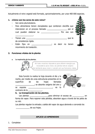 CIENCIA Y AMBIENTE                                                            I. E. Nº 1182 “EL BOSQUE” – UGEL Nº 05 – S. J. L.




Actualmente el reino vegetal está formado, aproximadamente, por unas 400 000 especies.


1. ¿Cómo son los seres de este reino?
     -     Son seres pluricelulares.
     -     Para alimentarse tienen cloroplastos que contienen clorofila que
           intervienen en el proceso llamado ___________________ por el
           cual pueden elaborar su _________________. Por eso son
           _________________.
     -     Tienen una _______________________________________ que le
           da consistencia rígida.
     -     Están     fijos      en   ___________________;                           es       decir        no        tienen
           movimiento de traslación.


2. Funciones vitales de la planta:


     a.    La respiración de las plantas.

                                          A s í c o m o n o s o t r o s r e s p ir a m o s p a r a o b t e n e r e n e r g ía q u e
                                              n e c e s i t a m o s p a r a c r e c e r, l a s p l a n t a s t o m a n o x í g e n o
                                      d e l a m b ie n t e p a r a c r e c e r y c u m p lir c o n s u s f u n c io n e s v it a le s .


                                                                                                                e s to m a
                                                                                                                c e rr a d o       O   2
               Esta función la realiza la hoja durante el día y la
           noche, por medio de unas estructuras presentes en la
           superficie       de      las      hojas      llamadas
           __________________; se absorbe oxígeno del aire y                          e s to m a
                                                                                       a b i e rt o
           se expulsa _______________________, es lo                       CO 2
           contrario de la _____________.
           b. La transpiración de las plantas.
               Las plantas __________________para eliminar el exceso de ___________ en
           forma de vapor. Para reponer esta pérdida, absorben agua a través de los pelos de
           su raíz.
           Las plantas regulan la entrada y salida del vapor de agua abriendo o cerrando los
            _____________ de sus hojas.



                                            APLICO LO APRENDIDO


1.   Completar:


Prof. Julio Tarazona Carrasco               Página 10
 