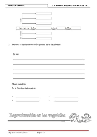 CIENCIA Y AMBIENTE                                      I. E. Nº 1182 “EL BOSQUE” – UGEL Nº 05 – S. J. L.




                 n e c e s it a



                F o t o s ín t e s is
                 S e o b t ie n e




2.   Examina la siguiente ecuación química de la fotosíntesis:



         Se lee:______________________________________________________________

         ___________________________________________________________________

         ___________________________________________________________________

         ___________________________________________________________________

         ___________________________________________________________________

         ___________________________________________________________________


     Ahora completa:

     En la fotosíntesis interviene:



     -     ______________________                   -     ______________________

     -     ______________________                   -     ______________________




Prof. Julio Tarazona Carrasco           Página 15
 