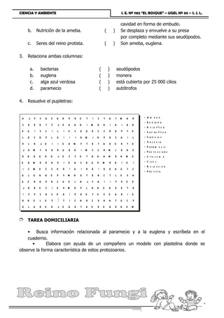 CIENCIA Y AMBIENTE                                                                              I. E. Nº 1182 “EL BOSQUE” – UGEL Nº 05 – S. J. L.


                                                                                                cavidad en forma de embudo.
      b.           Nutrición de la ameba.                                 (           )         Se desplaza y envuelve a su presa
                                                                                                por completo mediante sus seudópodos.
      c.           Seres del reino protista.                              (           )         Son ameba, euglena.

3.    Relaciona ambas columnas:

          a.            bacterias                                 (           )               seudópodos
          b.            euglena                                   (           )               monera
          c.            alga azul verdosa                         (           )               está cubierta por 25 000 cilios
          d.            paramecio                                 (           )               autótrofos

4.    Resuelve el pupiletras:


 A    J        Y    S     B   Z   A   H   P   R   O   T   I   S       T       A           T M       A   R    -   A m eba
                                                                                                             -   E u g le n a
  S   E        E    G     T   S   J D     U   A   N   I M     A       A           I   A         I   A   H
                                                                                                             -   H o lo f í t i c a
 K    U        I    S     C   I   L   I   O   S   E   A   E   C       S       R           R     P   T   O    -   S a p r o fí t i c a
  L   G        S    G     P   L   E   I   I   I   R M     I   N       P       E           S     A   I   L    -   F la g e lo s
 V    L        R     J Q      I   I   O   A   M   F   T   E   T       A       E       O         R   T   O    -   V a c u o la
                                                                                                             -   P a ra m e c i o
  J   E W           T     E   R   R   U   E   A   I M     S   C       R M                 L     E   A   Z    -   P ro to z o a ri o
  E   N    G        Q     H   Q   J O     S   F   O   T   A   N       A       M           E     N   M   O    -   C ito s o m a
 O    A    M        E     B   A   V   I   O   A   S   B   U   D       M       R           G     I   O   I    -   C i li o s
                                                                                                             -   H o lo z o i c a
  I   C    W        O     C   S   K   R   I   U   I   R   E   I       E       E       A         U   T   C
                                                                                                             -   P ro ti s t a
 G    L    Q        N     A   O   P   F M     H   E   T   E   R       C           T       L     O   S   A
 U    O        R    G     V   A   C   U   O   L   A   J   S   A       I           I       F     V   O   O
  J   R        R    O     S   I   K   V M     B   P   L   A   N       O       A           E     E   T   E
  I   F        Y    S     R   S   D   E   I   P   R   O   T   O       Z       O       A         R   I   O
  R   H    O        L     O   F   Í   T   I   C   A   R   C   V       R       A           T     U   C   Y
  E   L    U        E     O   B   J O     A   E   T   E   O   E       O       E           E     N   O   M


È     TAREA DOMICILIARIA

    • Busca información relacionada al paramecio y a la euglena y escríbela en el
    cuaderno.
      •       Elabora con ayuda de un compañero un modelo con plastelina donde se
observe la forma característica de estos protozoarios.




Prof. Julio Tarazona Carrasco                         Página 7
 