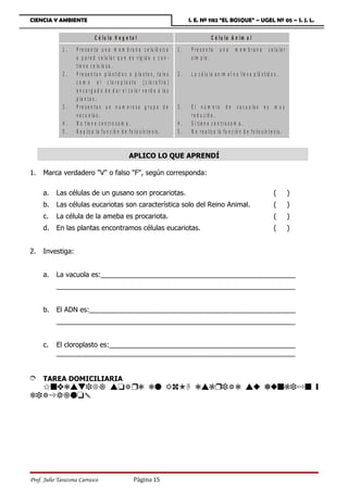 CIENCIA Y AMBIENTE                                                                    I. E. Nº 1182 “EL BOSQUE” – UGEL Nº 05 – S. J. L.


                              C é lu la V e g e ta l                                               C é lu la A n im a l
              1.   P r e s e n t a u n a m e m b r a n a c e lu ló s ic a        1.    P re se n ta      una      m e m b ra n a        c e lu la r
                   o p a r e d c e lu la r q u e e s r íg id a y c o n -               s im p le .
                   t ie n e c e lu lo s a .
              2.   P r e s e n t a n p lá s t id o s o p la s t o s , t a le s   2.    L a c é lu la a n im a l n o lle v a p lá s t id o s .
                   c o m o e l c lo r o p la s t o ( c lo r o f ila )
                   e n c a r g a d o d e d a r e l c o lo r v e r d e a la s
                   p la n t a s .
              3.   P re se n ta n u n n u m e ro so g ru p o d e                 3.    E l n ú m e r o d e v a c u o la s e s m u y
                   v a c u o la s .                                                    r e d u c id o .
              4.   N o t ie n e c e n t r o s o m a .                            4.    S í tie n e c e n tr o s o m a .
              5.   R e a liz a la f u n c ió n d e f o t o s ín t e s is .       5.    N o r e a liz a la f u n c ió n d e f o t o s ín t e s is .



                                                    APLICO LO QUE APRENDÍ

1.   Marca verdadero V o falso F, según corresponda:

     a.    Las células de un gusano son procariotas.                                                                                       (          )
     b.    Las células eucariotas son característica solo del Reino Animal.                                                                (          )
     c.    La célula de la ameba es procariota.                                                                                            (          )
     d.    En las plantas encontramos células eucariotas.                                                                                  (          )


2.   Investiga:


     a.    La vacuola es:___________________________________________________
           ______________________________________________________________


     b.    El ADN es:______________________________________________________
           ______________________________________________________________


     c.    El cloroplasto es:_________________________________________________
           ______________________________________________________________


È TAREA DOMICILIARIA
  6sydvwhf` vtaÌd dq 1A dvbÌhad vx exsbh¸s ƒ
cha»i`qt




Prof. Julio Tarazona Carrasco                          Página 15
 
