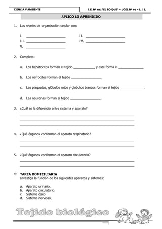 CIENCIA Y AMBIENTE                                     I. E. Nº 1182 “EL BOSQUE” – UGEL Nº 05 – S. J. L.

                                      APLICO LO APRENDIDO

1.   Los niveles de organización celular son:


     I.    ______________________                 II. ______________________
     III. ______________________                  IV. ______________________
     V. ______________________


2.   Completa:


     a.    Los hepatocitos forman el tejido ____________ y este forma el ______________.


     b.    Los nefrocitos forman el tejido _________________.


     c.    Las plaquetas, glóbulos rojos y glóbulos blancos forman el tejido _____________.


     d.    Las neuronas forman el tejido _________________.


3.   ¿Cuál es la diferencia entre sistema y aparato?
     ________________________________________________________________
     ________________________________________________________________
     ________________________________________________________________


4.   ¿Qué órganos conforman el aparato respiratorio?
     ________________________________________________________________
     ________________________________________________________________


5.   ¿Qué órganos conforman el aparato circulatorio?
     ________________________________________________________________
     ________________________________________________________________

È TAREA DOMICILIARIA
     Investiga la función de los siguientes aparatos y sistemas:

     a.    Aparato    urinario.
     b.    Aparato    circulatorio.
     c.    Sistema    óseo.
     d.    Sistema    nervioso.




Prof. Julio Tarazona Carrasco         Página 18
 