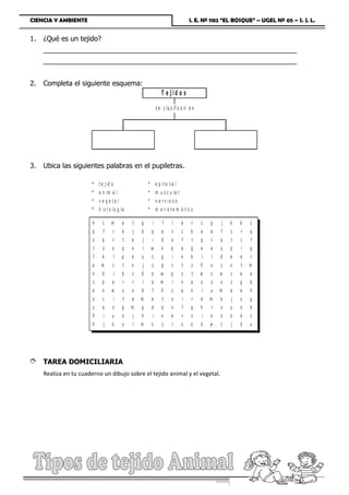 CIENCIA Y AMBIENTE                                                                           I. E. Nº 1182 “EL BOSQUE” – UGEL Nº 05 – S. J. L.


1.   ¿Qué es un tejido?
     __________________________________________________________________
     __________________________________________________________________


2.   Completa el siguiente esquema:
                                                                            T e jid o s

                                                                        s e c la s if ic a n e n




3.   Ubica las siguientes palabras en el pupiletras.

                          *     t e j id o                      *       e p it e lia l
                          *     a n im a l                      *       m u s c u la r
                          *     v e g e ta l                    *       n e r v io s o
                          *     h is t o lo g ía                *       m e r is t e m á t ic o

                          h       c     m        a   t     g        i       f      l     a    r    c   g   j   k   b   c
                          p       f      r       k   j     b        q       a      t     c    b    a   e   f   z   r   q
                          o       q      r       t   e     j        i       d     o      f    t    p   r   q   t   c   f
                          t       s      o       q   v      l       w       n     p      a    g    e   a   y   p   l   g
                          f       k          l   p   e     y        c       g      i     n    b    i   l   d   e   a   r
                          a      m       c       t   n     j        z       g      c     t    z    ñ   u   z   v   t   m
                          n       d          i   b   c     d        o      w      p      z    t    w   c   w   c   e   a
                          z       p      a       r   r      l       a      m       i     n    a    o   s   x   z   g   b
                          e       n      w       z   o     d        f       ñ      c     a    n    i   u   m   a   e   h
                          o       c          i   t   a     m        e       t      s     i    r    e   m   k   j   v   g
                          y       a      s       g   m     g        d       a     v      f    g    h   r   v   u   o   b
                          ñ        i     u       s   j     h        i       n     e      r    v    i   o   s   o   k   c
                          h       j      k       y   l     m        n       z      r     u    o    d   w   z   j   d   u




È TAREA DOMICILIARIA
     Realiza en tu cuaderno un dibujo sobre el tejido animal y el vegetal.




Prof. Julio Tarazona Carrasco                            Página 20
 