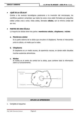 CIENCIA Y AMBIENTE                                      I. E. Nº 1182 “EL BOSQUE” – UGEL Nº 05 – S. J. L.




•    ¿QUÉ ES LA CÉLULA?
     Gracias a los avances tecnológicos posteriores a la invención del microscopio, los
     científicos pudieron comprobar que todos los seres vivos están formados por pequeñas
     celdas unidas unas a otras. Estas celdas, llamadas células, son la mínima unidad del
     ser vivo.


•    PARTES DE UNA CÉLULA
     La mayoría de células tiene tres partes: membrana celular, citoplasma y núcleo.


     a. Membrana celular
           Es la parte externa de la célula que envuelve el citoplasma. Permite el intercambio
           entre la célula y el medio que la rodea.


     b. Citoplasma
           El citoplasma es un medio acuoso, de apariencia viscosa, en donde están disueltas
           muchas sustancias alimenticias.


     c.    Núcleo
           El núcleo es el centro de control de la célula, pues contiene toda la información
           sobre su funcionamiento.




                      M e m b ra n a
                         c e lu la r


                                                                               N ú c le o



                        C it o p la s m a




                                            APLICO LO APRENDIDO

1.   Completa el esquema:



Prof. Julio Tarazona Carrasco               Página 6
 