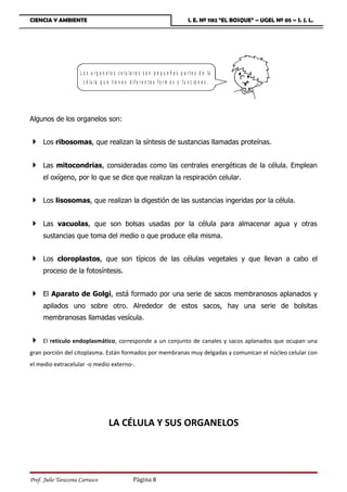 CIENCIA Y AMBIENTE                                                                      I. E. Nº 1182 “EL BOSQUE” – UGEL Nº 05 – S. J. L.




                     L o s o r g a n e lo s c e lu la r e s s o n p e q u e ñ a s p a r t e s d e la
                       c é lu la q u e t ie n e n d if e r e n t e s f o r m a s y f u n c io n e s .




Algunos de los organelos son:


 Los ribosomas, que realizan la síntesis de sustancias llamadas proteínas.

 Las mitocondrias, consideradas como las centrales energéticas de la célula. Emplean
     el oxígeno, por lo que se dice que realizan la respiración celular.


 Los lisosomas, que realizan la digestión de las sustancias ingeridas por la célula.

 Las vacuolas, que son bolsas usadas por la célula para almacenar agua y otras
     sustancias que toma del medio o que produce ella misma.


 Los cloroplastos, que son típicos de las células vegetales y que llevan a cabo el
     proceso de la fotosíntesis.


 El Aparato de Golgi, está formado por una serie de sacos membranosos aplanados y
     apilados uno sobre otro. Alrededor de estos sacos, hay una serie de bolsitas
     membranosas llamadas vesícula.


    El retículo endoplasmático, corresponde a un conjunto de canales y sacos aplanados que ocupan una
gran porción del citoplasma. Están formados por membranas muy delgadas y comunican el núcleo celular con
el medio extracelular -o medio externo-.




                                      LA CÉLULA Y SUS ORGANELOS




Prof. Julio Tarazona Carrasco                         Página 8
 