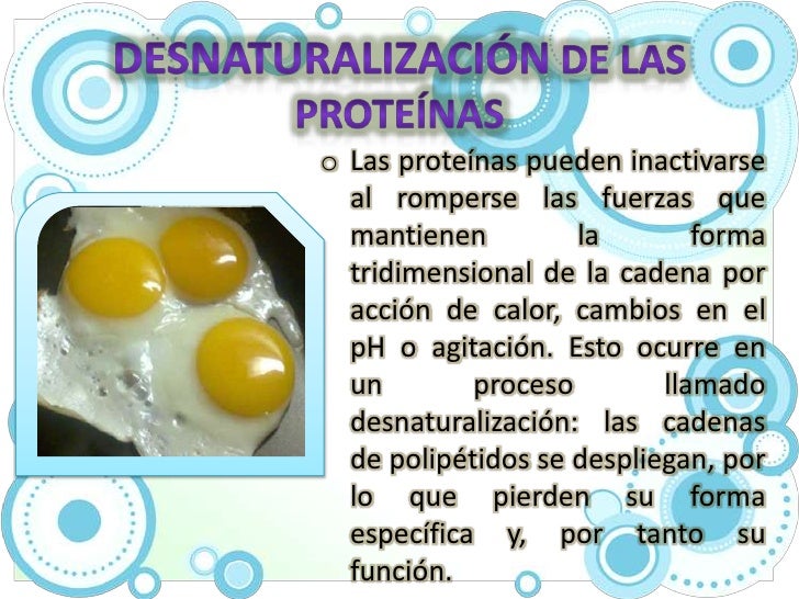 Proteínas Proteínas