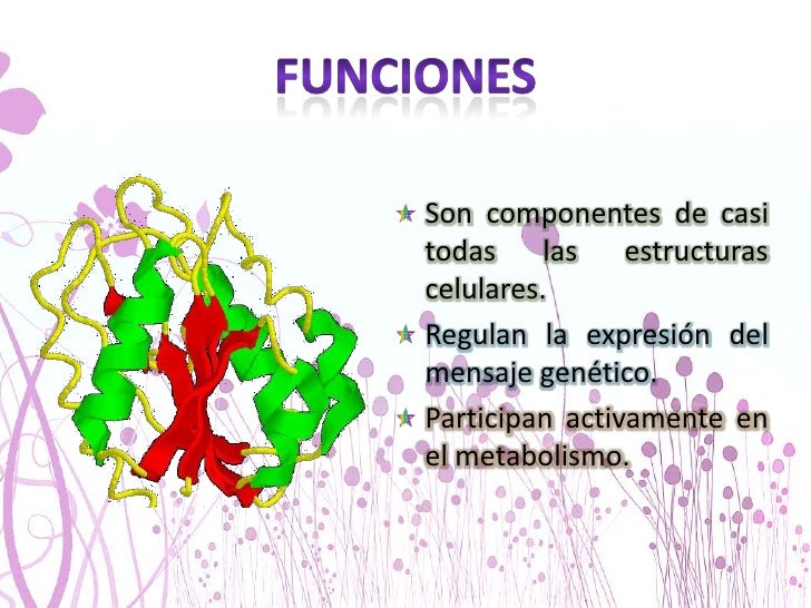 Proteínas