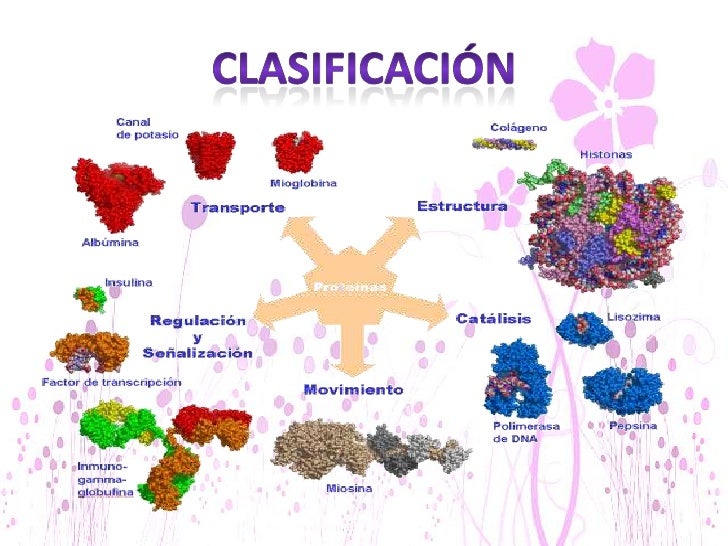 Proteínas