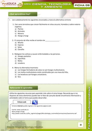 09


¿Qué aprendimos hoy?

I.   Lee cuidadosamente los siguientes enunciados y marca la alternativa correcta:

      1.- Son seres terrestres que crecen fácilmente en sitios oscuros, húmedos y sobre materia
         orgánica.
          a) Plantas
          b) Animales
          c) Monera
          d) Hongo o fungi

     2.- El conjunto de hifas recibe el nombre de _______________ .
         a) Micelio
         b) Esporas
         c) Setas
         d) Clorofila

     3.- Malogran los cultivos y causan enfermedades a las personas.
         a) Hongos parásitos
         b) Saprofitas
         c) Moho
         d) Levadura

     4.- Marca la alternativa incorrecta:
         a) Los hongos formadores de setas no son hongos multicelulares.
         b) Los mohos multicelulares están constituidos por una masa de hifas.
         c) Las levaduras son hongos unicelulares.
         d) N.A.




 Reforzando lo aprendido

Utiliza los siguientes recursos para aprender más sobre el reino hongo. Recuerda que si no
dispones de estos elementos puedes leer el libro de consulta donde encontrarás información y
actividades sobre el tema que puedes desarrollar.

              Enlaces web

     Si tienes internet puedes ingresar a las siguientes páginas web:

     Fuente: www.unad.edu.co
     Reino hongo o fungi
     http://www.unad.edu.co/fac_ingenieria/pages/Microbiologia_mutimedia/animaciones/taxonomia.swf




                                                                                                     3
 