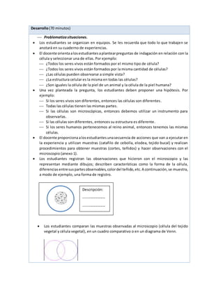 Desarrollo(70 minutos)
 Problematizasituaciones.
 Los estudiantes se organizan en equipos. Se les recuerda que todo lo que trabajen se
anotará en su cuaderno de experiencias.
 El docente orientaalosestudiantes aplantearpreguntas de indagación en relación con la
célula y seleccionar una de ellas. Por ejemplo:
 ¿Todos los seres vivos están formados por el mismo tipo de célula?
 ¿Todos los seres vivos están formados por la misma cantidad de células?
 ¿Las células pueden observarse a simple vista?
 ¿La estructura celular es la misma en todas las células?
 ¿Son iguales la célula de la piel de un animal y la célula de la piel humana?
 Una vez planteada la pregunta, los estudiantes deben proponer una hipótesis. Por
ejemplo:
 Si los seres vivos son diferentes, entonces las células son diferentes.
 Todas las células tienen las mismas partes.
 Si las células son microscópicas, entonces debemos utilizar un instrumento para
observarlas.
 Si las células son diferentes, entonces su estructura es diferente.
 Si los seres humanos pertenecemos al reino animal, entonces tenemos las mismas
células.
 El docente proporciona alosestudiantes unasecuencia de acciones que van a ejecutar en
la experiencia y utilizan muestras (catafilo de cebolla, elodea, tejido bucal) y realizan
procedimientos para obtener muestras (cortes, teñidos) y hacer observaciones con el
microscopio (anexo 1).
 Los estudiantes registran las observaciones que hicieron con el microscopio y las
representan mediante dibujos; describen características como la forma de la célula,
diferenciasentresuspartesobservables, colordel teñido,etc.A continuación,se muestra,
a modo de ejemplo, una forma de registro.
 Los estudiantes comparan las muestras observadas al microscopio (célula del tejido
vegetal y célula vegetal), en un cuadro comparativo o en un diagrama de Venn.
Descripción:
------------------
------------------
 