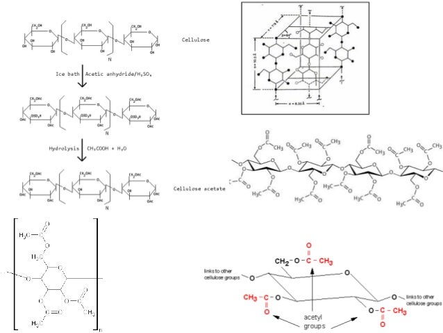 cta2 cellulose acetate cellulose acetate